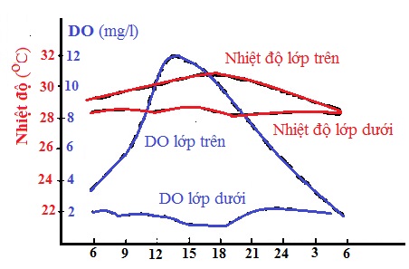 Sự thay đổi nồng độ ôxy hòa tan trong ngày